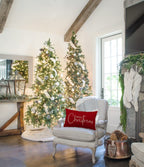 DFXSZ Christmas Throw Pillow Covers 12x20 Inch Set of 2 Merry Christmas Farmhouse Decorations Believe Holiday Decor Throw Cushion Case for Home Couch