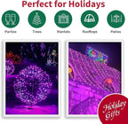 LAMPHOME 66ft Halloween Decorative Mini Lights, 200 LED Transparent Wire Fairy Starry String Lights Plug in, 11 Lighting Modes, for Halloween Decoration Outdoor Xmas Tree Party Decoration (Purple)