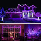HOME LIGHTING 66ft Halloween Decorative Mini Lights, 200 LED Green Wire Fairy Starry String Lights Plug in, 8 Lighting Modes, for Indoor Outdoor Xmas Tree Wedding Party Decoration (Purple)