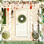 24 inch Norfolk Pine Wreath, Realistic Christmas Wreath for Front Door,Artificial Real Touch Green Wreath Greenery for Door Wall Windows Mantle Outdoor Christmas Decoration