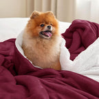 Bedsure GentleSoft Sherpa Fleece Throw Blanket Twin Size for Couch - Thick and Warm Throw for Women, Soft Fuzzy Plush Twin Christmas Blanket for Winter, Burgundy, 60x80 Inches