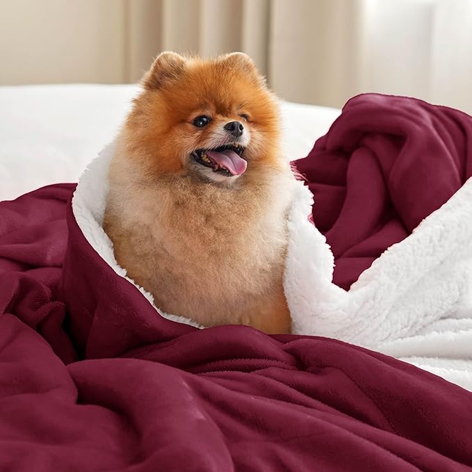 Bedsure GentleSoft Sherpa Fleece Throw Blanket for Couch - Thick and Warm Throw for Women, Soft Fuzzy Plush Christmas Blanket for Winter, Burgundy, 50x60 Inches