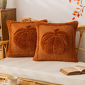 COSIBONO Rust Red Pumpkin Fall Throw Pillow Covers 18x18, Set of 2 Cute Fall Halloween Pillow Cases for Sofa Autumn Decor Soft Faux Fur Farmhouse Cushion Covers for Thanksgiving Living Room Bedroom