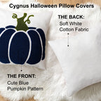 cygnus Fall Pillow Cover 18x18 inch Embroidered Blue Pumpkin Decorative Throw Pillow Cover Autumn Thanksgiving Halloween Decoration for Home Couch Living Room