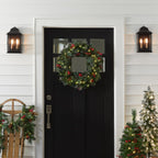National Tree Company 24 in Pre-Lit Wintry Pine Flocked Artificial Christmas Wreath, Christmas Decoration with Pinecones, Red Berries, 50 Clear LED Lights, 113 Tips, Timer, Green