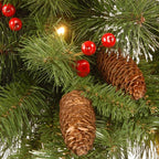 National Tree Company Pre-Lit Artificial Christmas Wreath, Green, Carolina Pine, White Lights, Decorated with Pine Cones and Glitter, Berry Clusters, Christmas Collection, 30 Inches